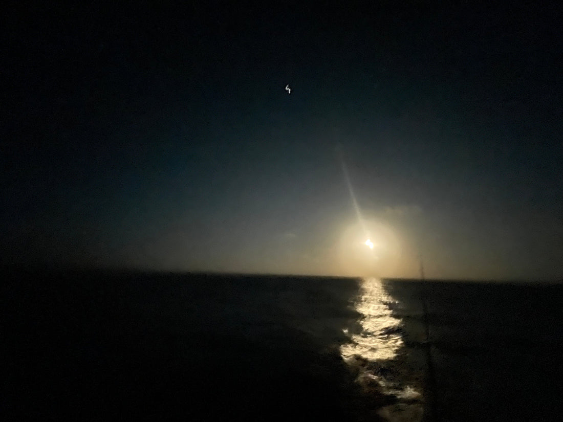 Sleepless Nights, Mozzie Bites & Lessons Learned